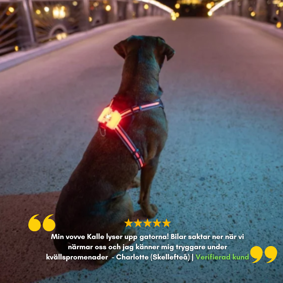 LunaLite™ LED Ljus - Lysande Hundsele