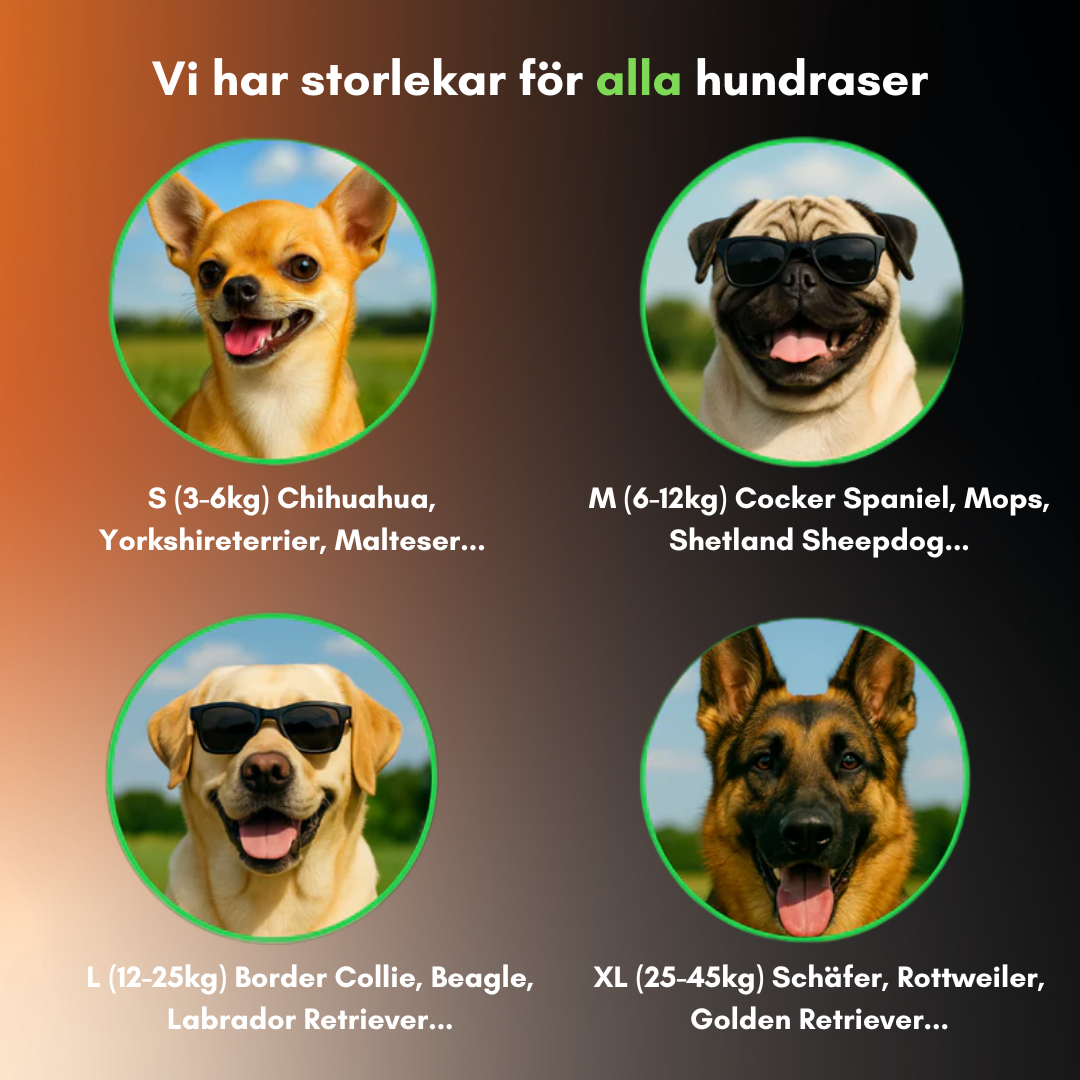 LunaLite™ LED Ljus - Lysande Hundsele